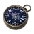 GGServers Minecraft Server Hosting Scum Compass Plan